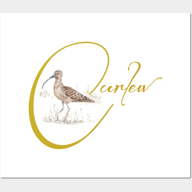 C is for Curlew Wall Art by jellygnomes